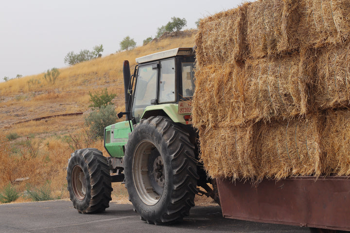 Regenerative agriculture