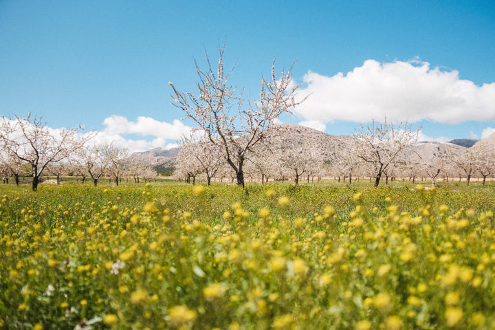 Healthy soil creates healthier food