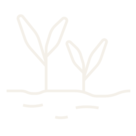 White logo with a stylized design on a white background